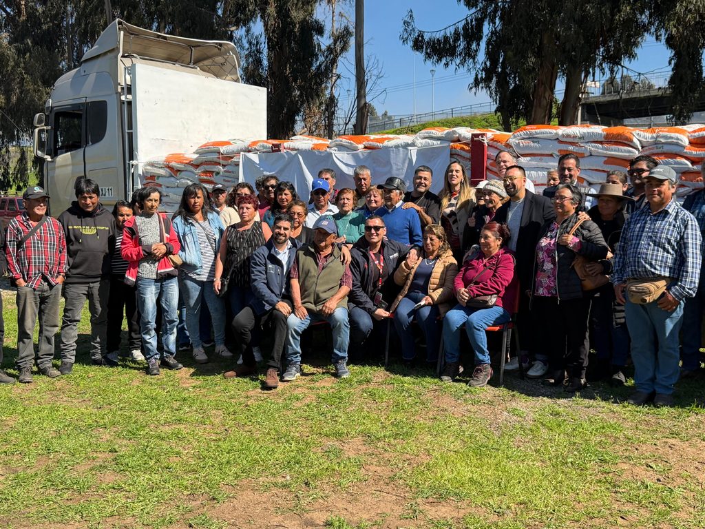 Productores caprinos de La Serena recibiendo sacos de alimento para su ganado entregados por INDAP.