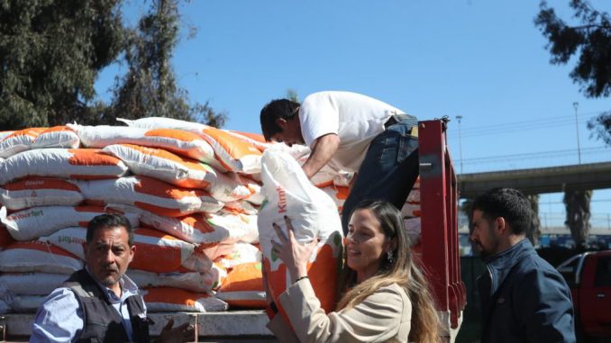 Productores caprinos de La Serena recibiendo sacos de alimento para su ganado entregados por INDAP.