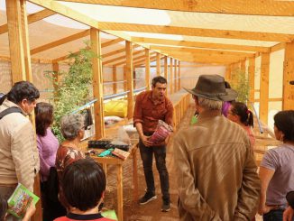Viveros tecnificados y reforestación con árboles nativos en la Región de Coquimbo para combatir la desertificación.