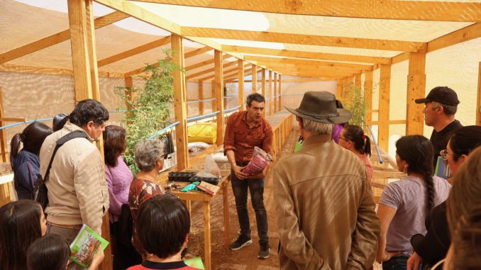 Viveros tecnificados y reforestación con árboles nativos en la Región de Coquimbo para combatir la desertificación.