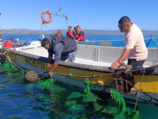 Pescadores artesanales en caleta Tongoy revisando sus embarcaciones dañadas por los temporales.