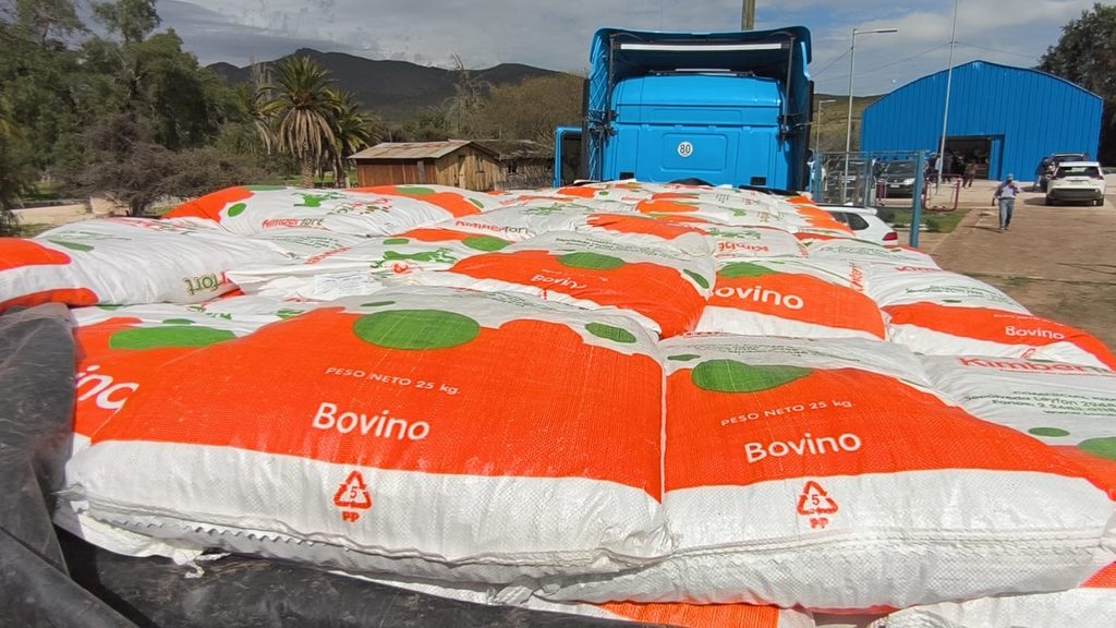 Entrega de sacos de alimento concentrado para ganado caprino a productores de Ovalle afectados por el sistema frontal.