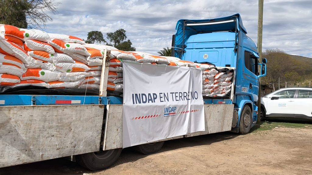Entrega de sacos de alimento concentrado para ganado caprino a productores de Ovalle afectados por el sistema frontal.