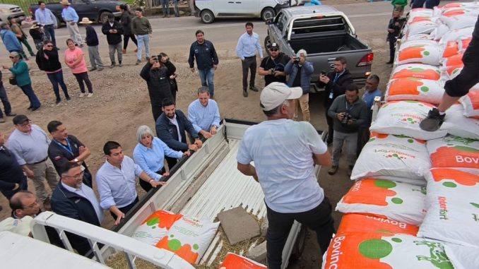 Entrega de sacos de alimento concentrado para ganado caprino a productores de Ovalle afectados por el sistema frontal.