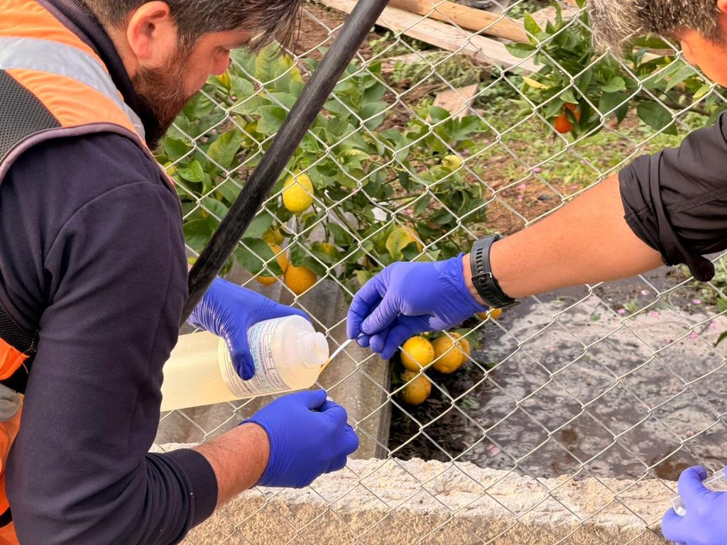 Autoridades locales supervisando el proceso de toma de muestras de agua en la zona de Caimanes y Pupío.
