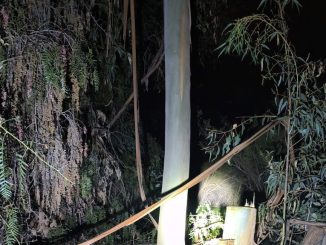 Trabajos de reparación de postes eléctricos dañados tras robo de cable de cobre en sector rural de Ovalle