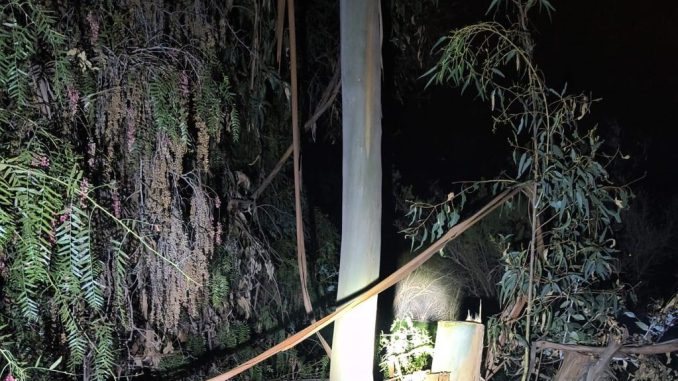 Trabajos de reparación de postes eléctricos dañados tras robo de cable de cobre en sector rural de Ovalle