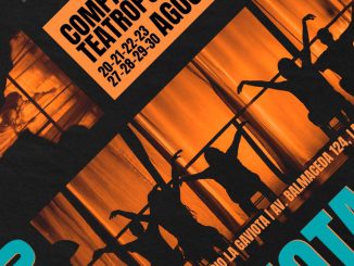 Elenco de la obra Cover La Gaviota en el espacio teatral de La Serena