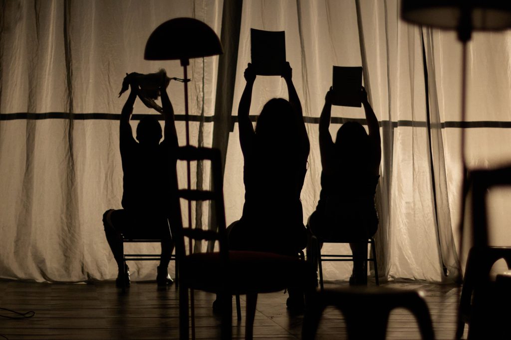 Elenco de la obra Cover La Gaviota en el espacio teatral de La Serena