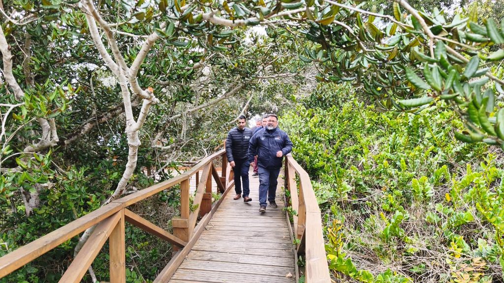 Visitantes recorriendo senderos en el Parque Nacional Bosque Fray Jorge tras su reapertura
