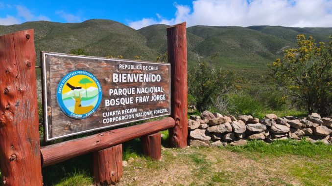 Visitantes recorriendo senderos en el Parque Nacional Bosque Fray Jorge tras su reapertura
