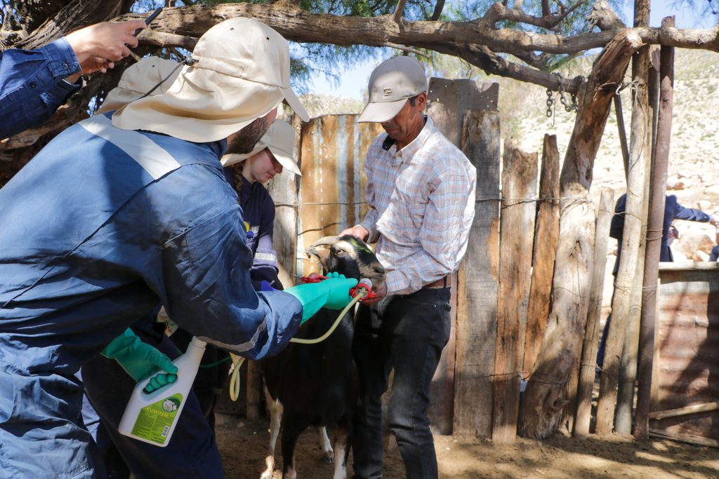 Reunión bilateral entre autoridades chilenas y sanjuaninas para coordinar la temporada de veranadas y el uso del Paso Agua Negra