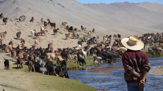 Reunión bilateral entre autoridades chilenas y sanjuaninas para coordinar la temporada de veranadas y el uso del Paso Agua Negra