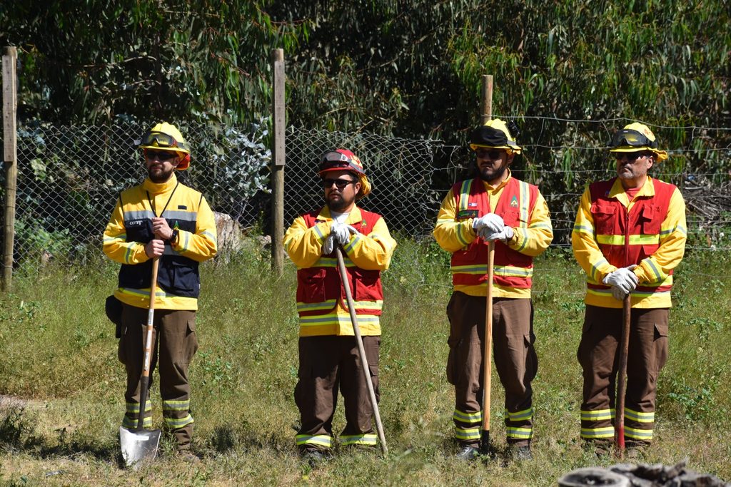 Trabajadores realizando labores de despeje de vegetación para prevenir incendios forestales en Coquimbo