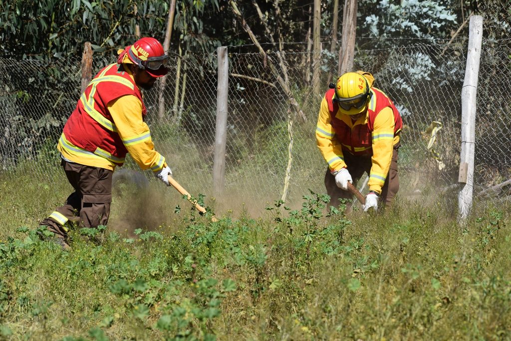 Trabajadores realizando labores de despeje de vegetación para prevenir incendios forestales en Coquimbo