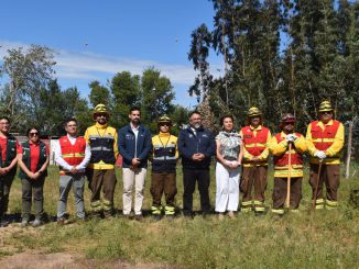 Trabajadores realizando labores de despeje de vegetación para prevenir incendios forestales en Coquimbo
