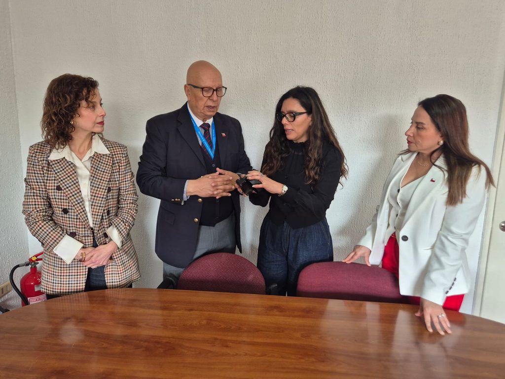 Seremi de la Mujer analizando el nuevo proyecto de ley de Medidas Cautelares Reforzadas