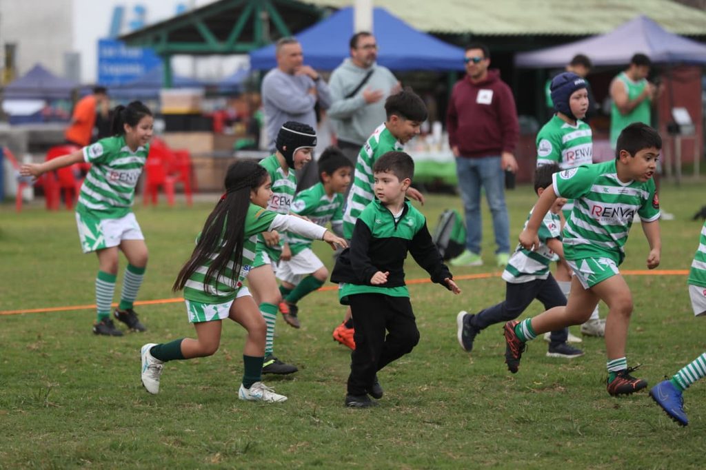Nenes y jóvenes participando en el Festival de Rugby Legado Cóndor en canchas de La Serena