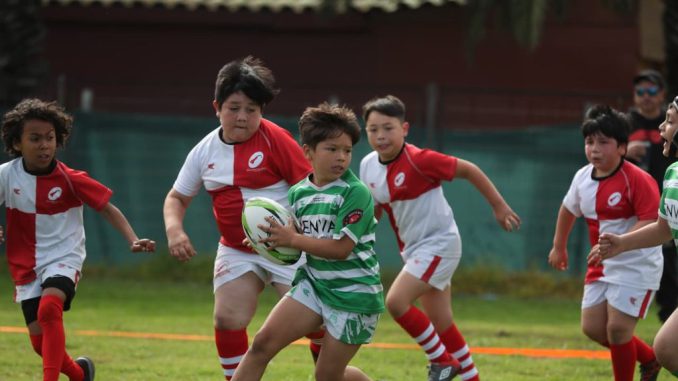 Nenes y jóvenes participando en el Festival de Rugby Legado Cóndor en canchas de La Serena