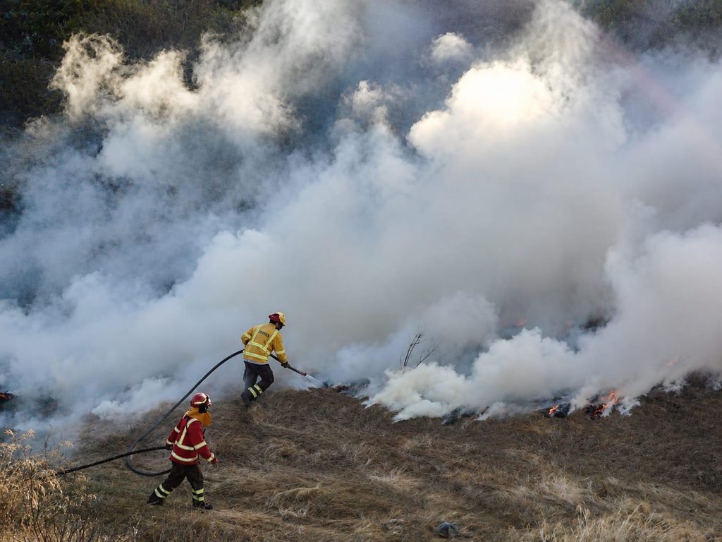 Despliegue de brigadas y recursos para el combate de incendios forestales en la Región de Coquimbo.
